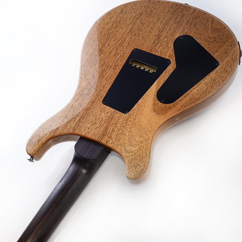 P.R.S. Ikebe Original Wood Library Custom24 Indian Rosewood Neck
