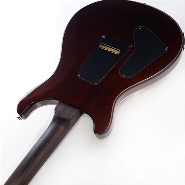 P.R.S. Ikebe Original Wood Library Custom24 Indian Rosewood Neck & Brazilian Rosewood Fingerboard (Orange Tiger) SN.0423203 【2026年生産品】 画像6