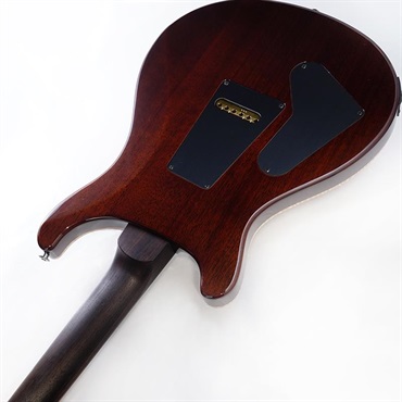 P.R.S. Ikebe Original Wood Library Custom24 Indian Rosewood Neck & Brazilian Rosewood Fingerboard (Orange Tiger)  SN.0423204 【2026年生産品】 画像6