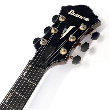 Ibanez ARTSTAR AFC151-DA 【特価】 画像8