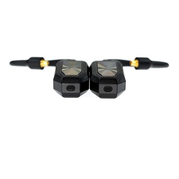 iFi audio GO pod (アイファイオーディオ)(ワイヤレスアダプター)(ワイヤレスイヤホン)(リケーブル)(ハイレゾ)(Bluetooth)(IFI-GO-POD) 画像1