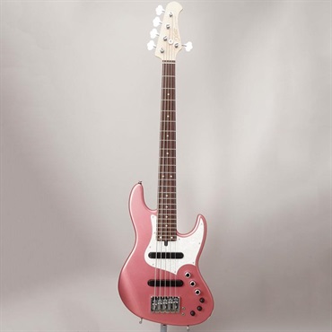 Xotic XJ-1T 24F 5st (BGM/Alder/R) 画像1