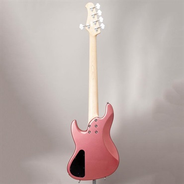 Xotic XJ-1T 24F 5st (BGM/Alder/R) 画像3