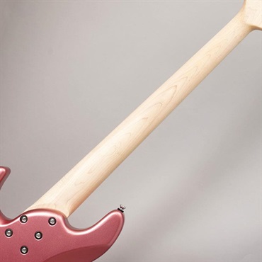 Xotic XJ-1T 24F 5st (BGM/Alder/R) 画像5