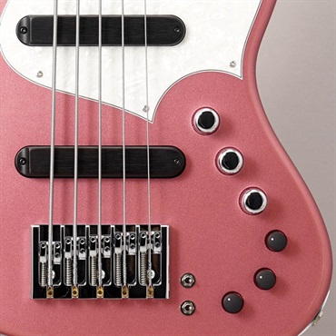 Xotic XJ-1T 24F 5st (BGM/Alder/R) 画像8
