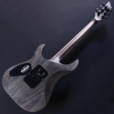 SCHECTER USED 中古 C-1 FR APOCALYPSE (Rusty Grey) 画像5