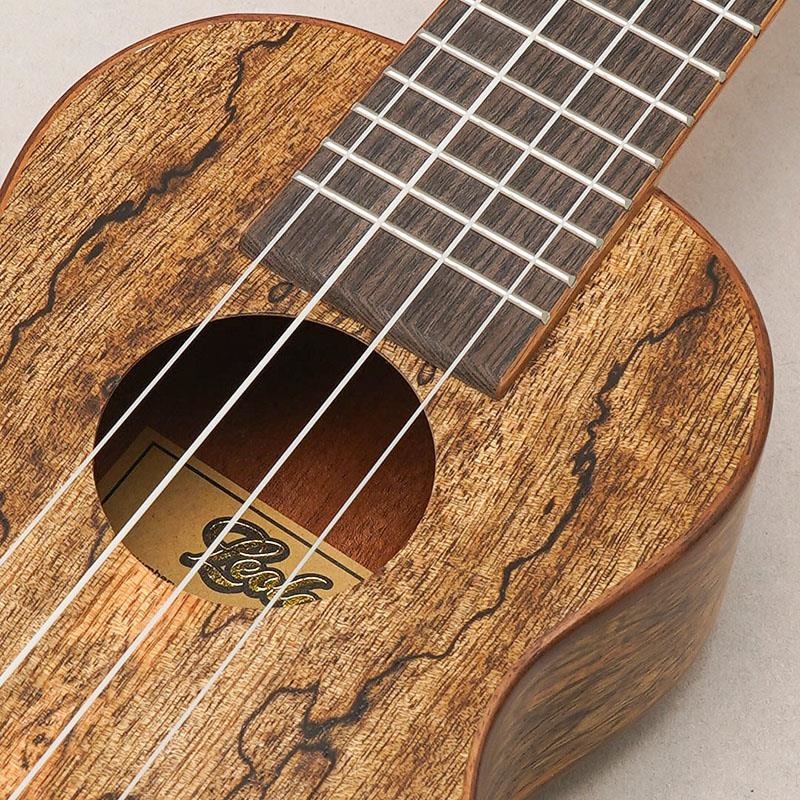 LEOLANI USED 中古 Leolani SQ85G ｜イケベ楽器店オンラインストア