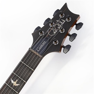 P.R.S. Custom 24 Semi-Hollow Flame Artist Top / Awabi Birds (Faded Indigo) SN.0425519 【2026年生産品】 画像8