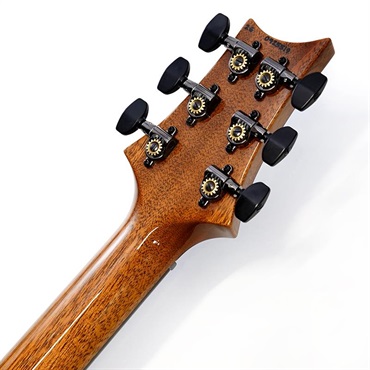 P.R.S. Custom 24 Semi-Hollow Flame Artist Top / Awabi Birds (Faded Indigo) SN.0425519 【2026年生産品】 画像9