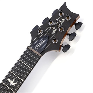 P.R.S. Custom 24 Quilt Artist Top / Awabi Birds (Faded Indigo) SN.0424342 【2026年生産品】 画像8
