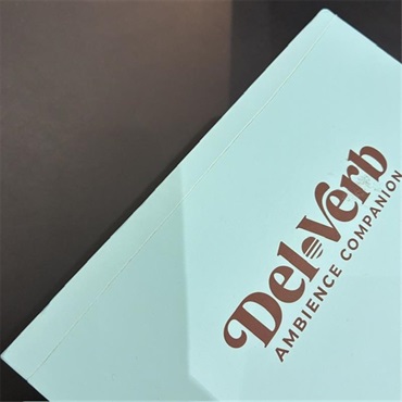 Universal Audio 【箱ダメージ特価品】　UAFX Del-Verb Ambience Companion（ユニバーサルオーディオ）ディレイ/リバーブ 画像2