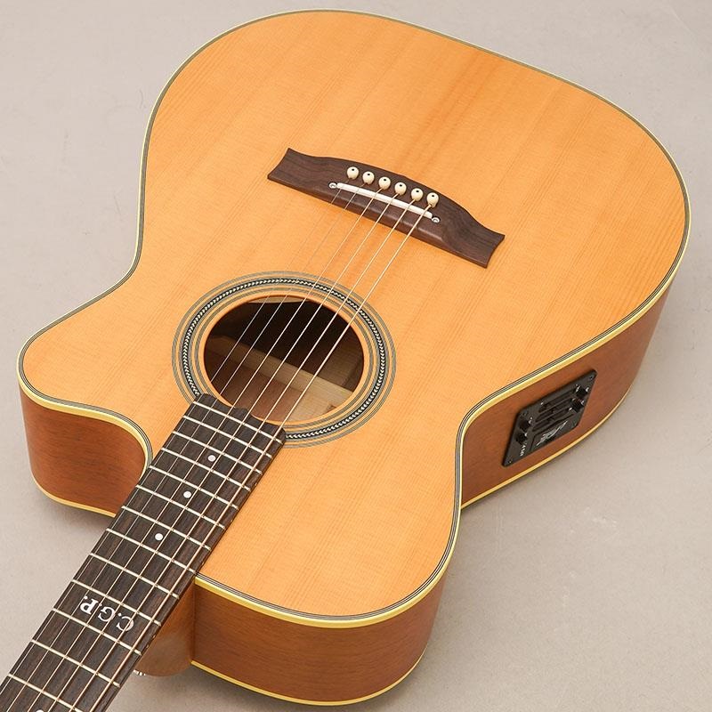 MATON MASTER BUILT - TE Personal 付属品 MATON Master Built TE Personal Cutaway メイトン ｜イケベ楽器店