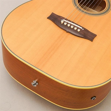 MATON Master Built TE Personal Cutaway メイトン 画像7