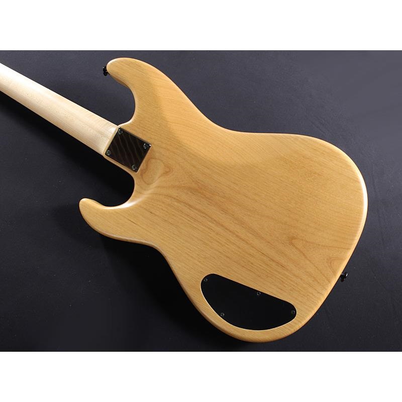 Wood Custom Guitars USED 中古 Gene-4 Buckeye Burl Top ｜イケベ楽器