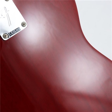 Fender MEX USED 中古 Player II Telecaster (Transparent Cherry/Rosewood Chambered Body）[SN.MX24061009] フェンダー 画像8