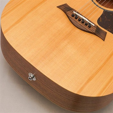 TAYLOR 【秋のSUPER SALE】【チョイ傷特価】 BBTe Spruce Top テイラー 画像7