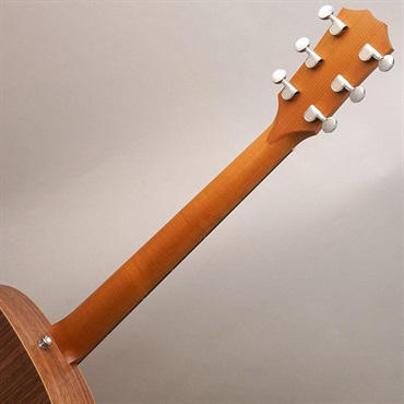 TAYLOR 【秋のSUPER SALE】【チョイ傷特価】 BBTe Spruce Top テイラー 画像9