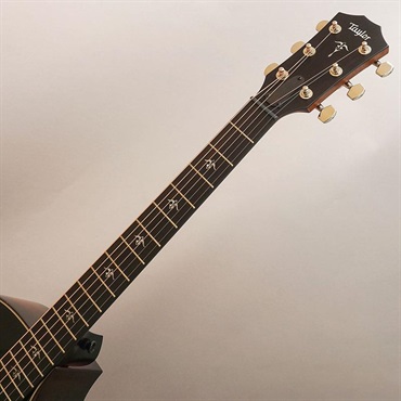 TAYLOR 514ce Japan Limited Black Top テイラー 画像8