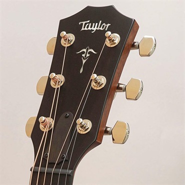 TAYLOR 514ce Japan Limited Black Top テイラー 画像10