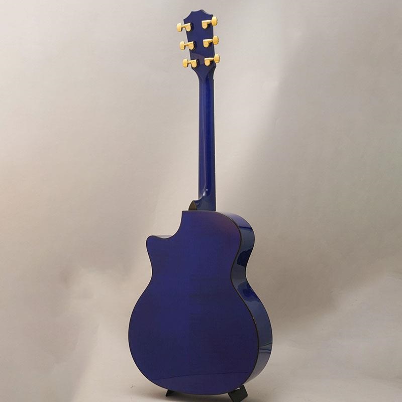 TAYLOR 614ce Japan Limited Royal Blue テイラー ｜イケベ楽器店