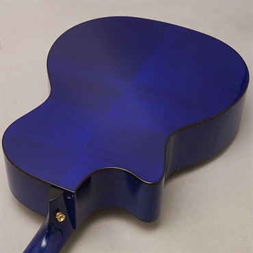 TAYLOR 614ce Japan Limited Royal Blue テイラー 画像5