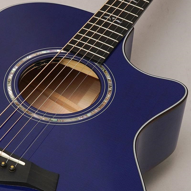 TAYLOR 614ce Japan Limited Royal Blue テイラー ｜イケベ楽器店