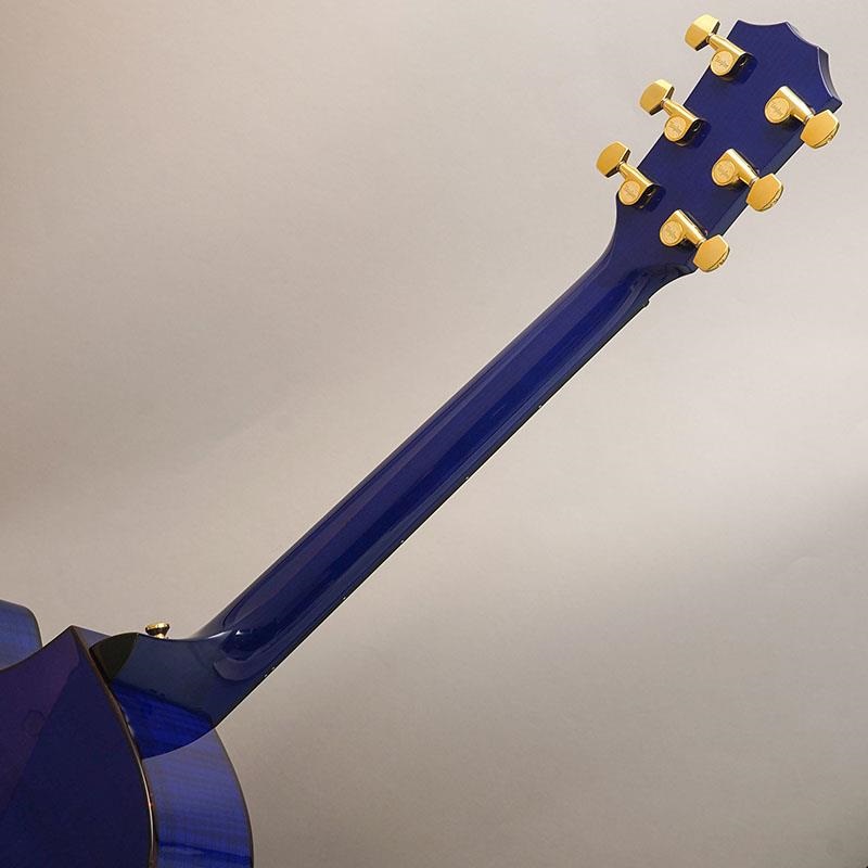 TAYLOR 614ce Japan Limited Royal Blue テイラー ｜イケベ楽器店