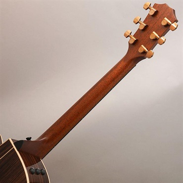TAYLOR 814ce Special Edition (Cedar & Rosewood) テイラー 画像9