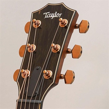 TAYLOR 814ce Special Edition (Cedar & Rosewood) テイラー 画像10