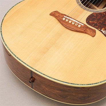 TAYLOR Gold Label 914e テイラー 画像7