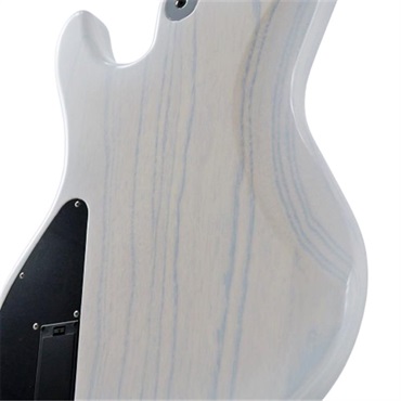 Freedom Custom Guitar Research C.S. Rhino 4st Ash/Rose (WBLD2) 画像8