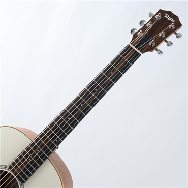 TAYLOR 【秋のSUPER SALE】【特価】GS Mini-e Translucent White テイラー 画像4