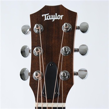 TAYLOR 【秋のSUPER SALE】【特価】GS Mini-e Translucent White テイラー 画像6