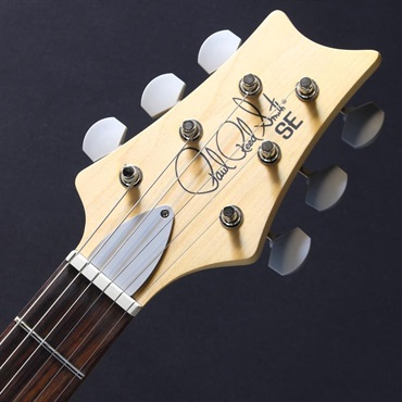 P.R.S. SE Silver Sky Rosewood Limited Colors (Gold Spark)[John Mayer Model] #CTI H077784【2025年生産品】 画像4