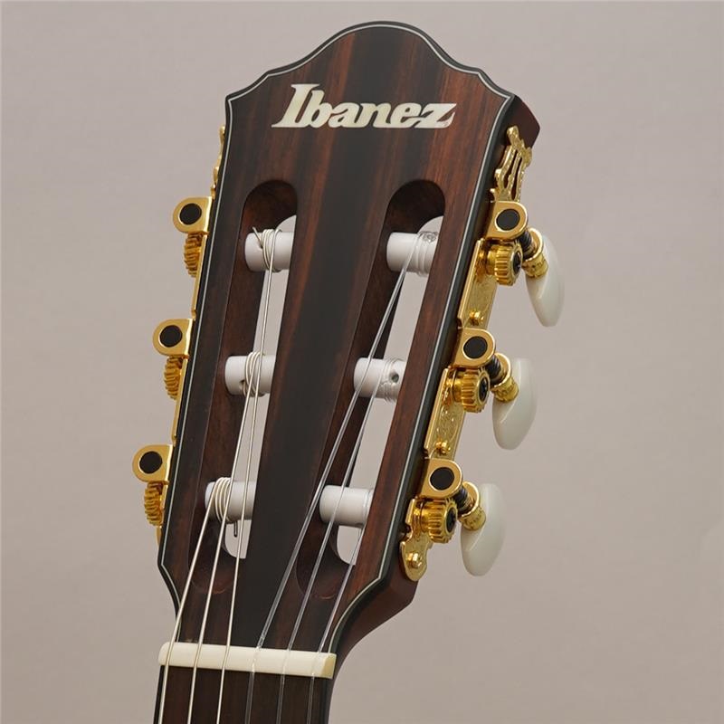 Ibanez FRH10N BSF(Brown Sunburst Flat) アイバニーズ ｜イケベ楽器店