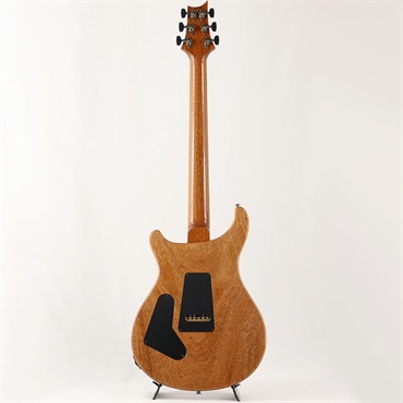 P.R.S. Custom 24 Semi-Hollow Flame Artist Top / Awabi Birds (Faded Indigo) [SN.0427765] 【2026年生産品】 画像2