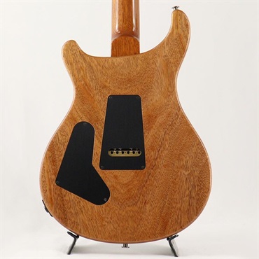 P.R.S. Custom 24 Semi-Hollow Flame Artist Top / Awabi Birds (Faded Indigo) [SN.0427765] 【2026年生産品】 画像3