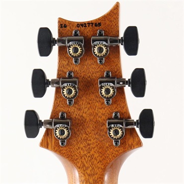 P.R.S. Custom 24 Semi-Hollow Flame Artist Top / Awabi Birds (Faded Indigo) [SN.0427765] 【2026年生産品】 画像9