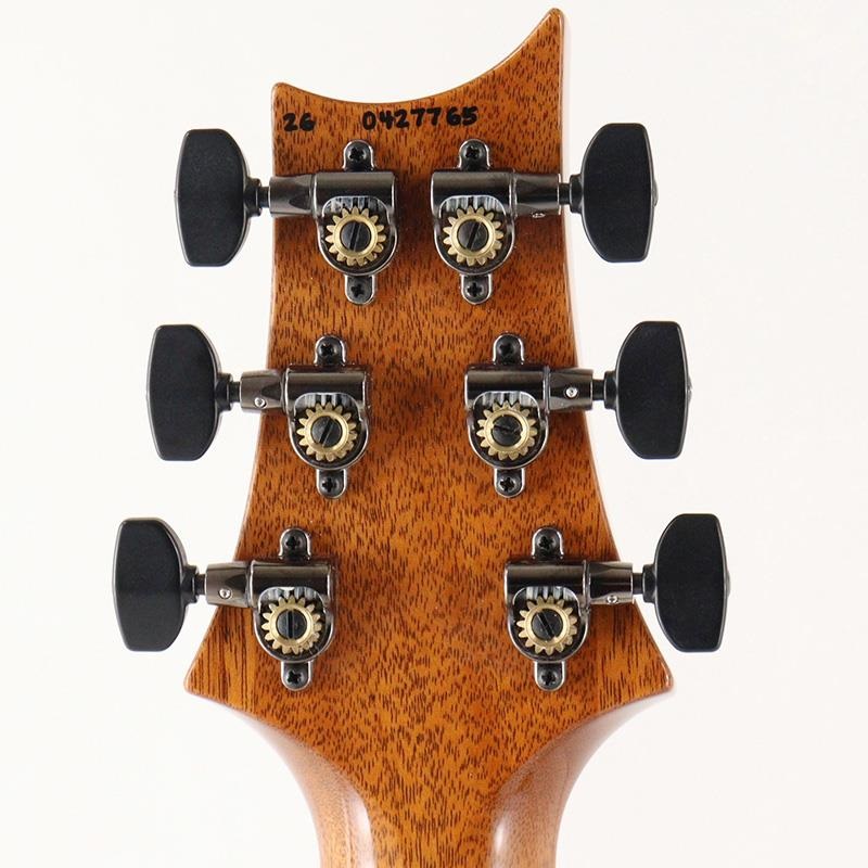 P.R.S. Custom 24 Semi-Hollow Flame Artist Top / Awabi Birds (Faded