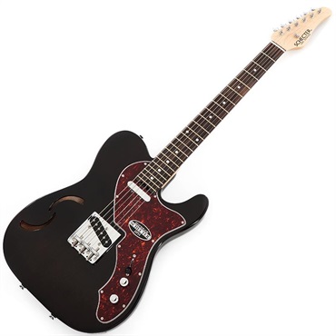 SCHECTER OL-PT-TH (STBK/R) 画像1
