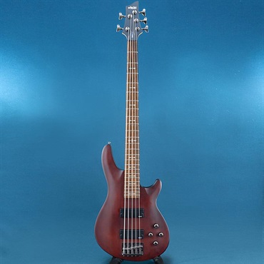 SCHECTER USED 中古 Omen-5 画像2