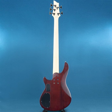 SCHECTER USED 中古 Omen-5 画像3