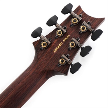 P.R.S. Ikebe Original Wood Library Custom24 Indian Rosewood Neck & Brazilian Rosewood Fingerboard (Aquableux Purple burst) SN.0423209 【2026年生産品】 画像7