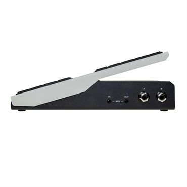 WALRUS AUDIO Canvas Expression Pedal エクスプレッションペダル 画像5
