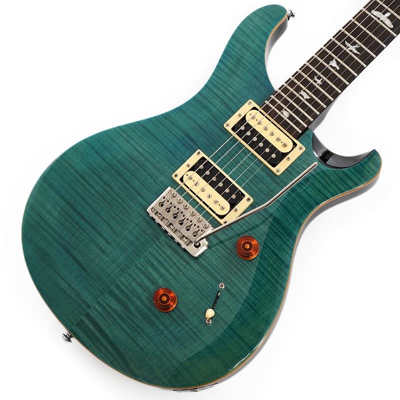 ギター SE Custom24 ryo.oyr621 ギター SE Custom24 ryo.oyr621 PRS SE Custom24 Semi-Hollow Piezo