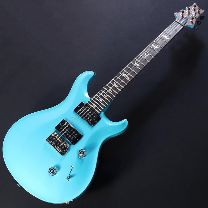 P.R.S. Custom 24 Sprayer's Choice (Custom Color) #0426724【2026