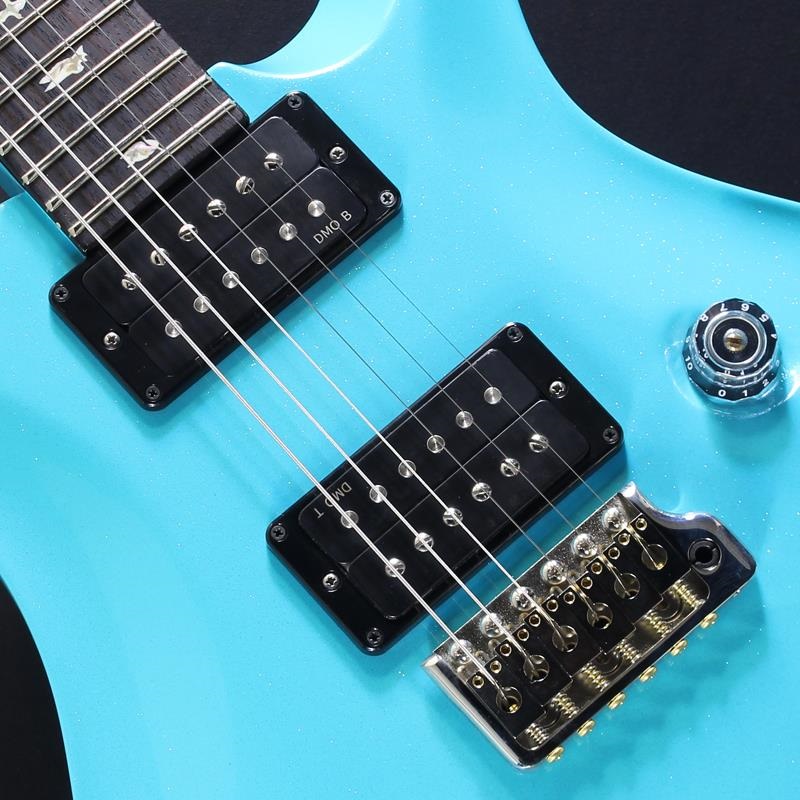 P.R.S. Custom 24 Sprayer's Choice (Custom Color) #0426724【2026