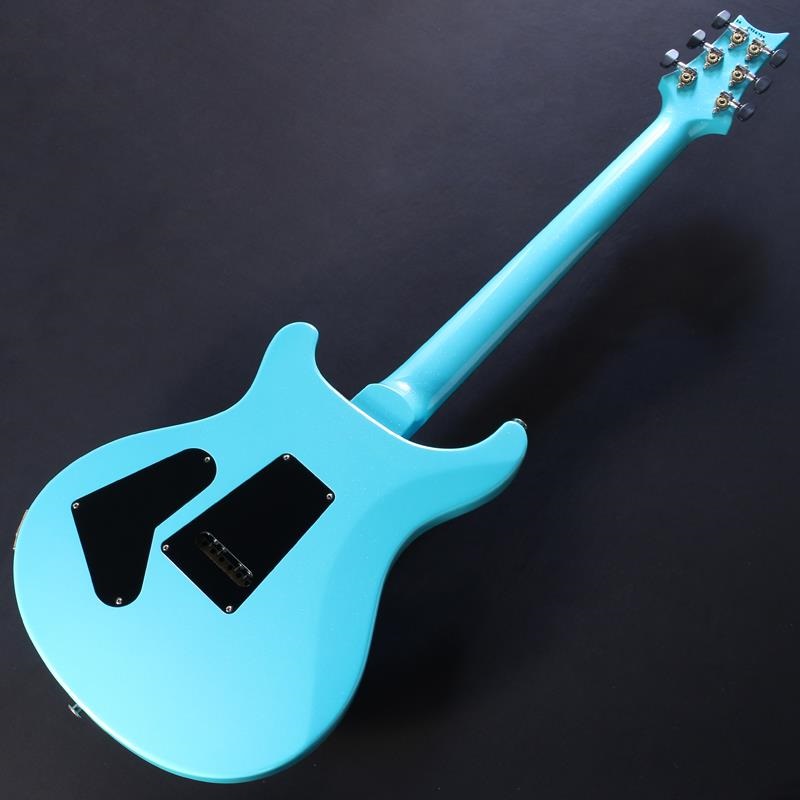 P.R.S. Custom 24 Sprayer's Choice (Custom Color) #0426724【2026