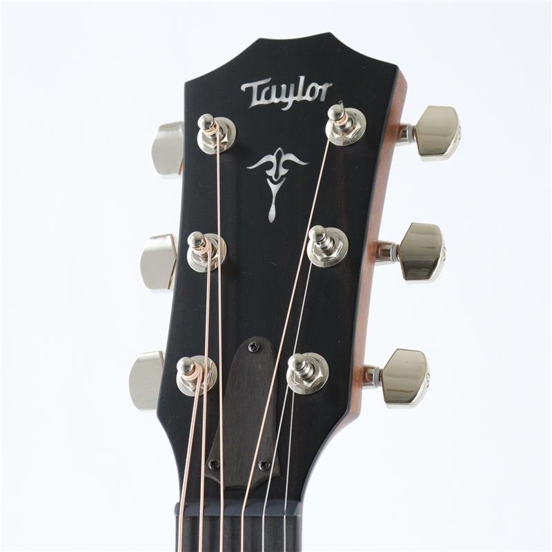 TAYLOR 514ce Japan Limited Black Top テイラー ｜イケベ楽器店