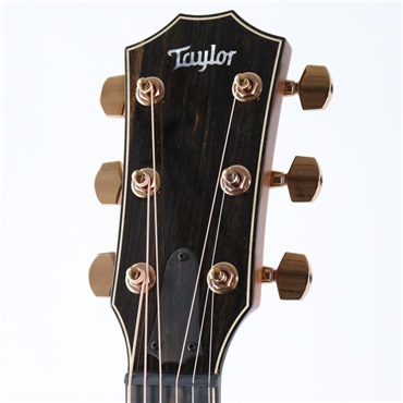 TAYLOR 814ce Special Edition (Cedar & Rosewood) テイラー 画像6